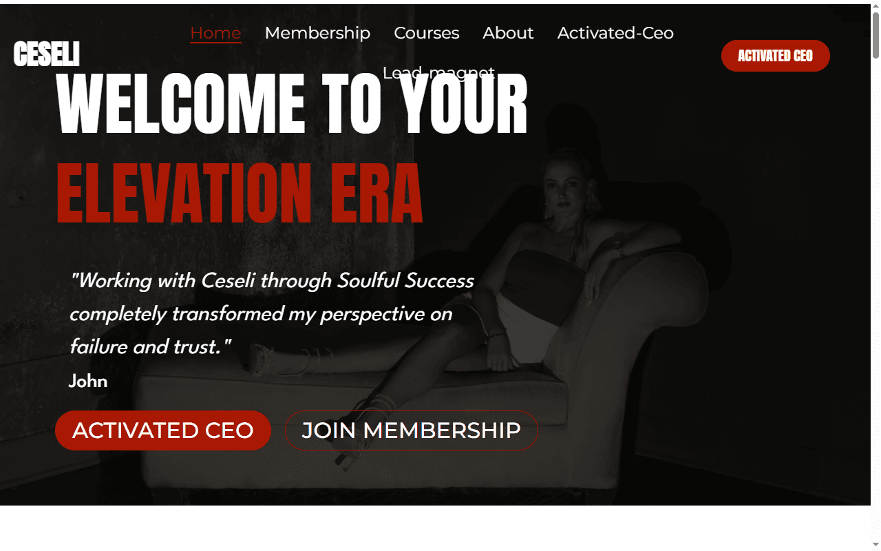 Soulful Success website screenshot